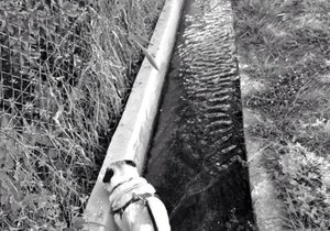 The one fortunate one